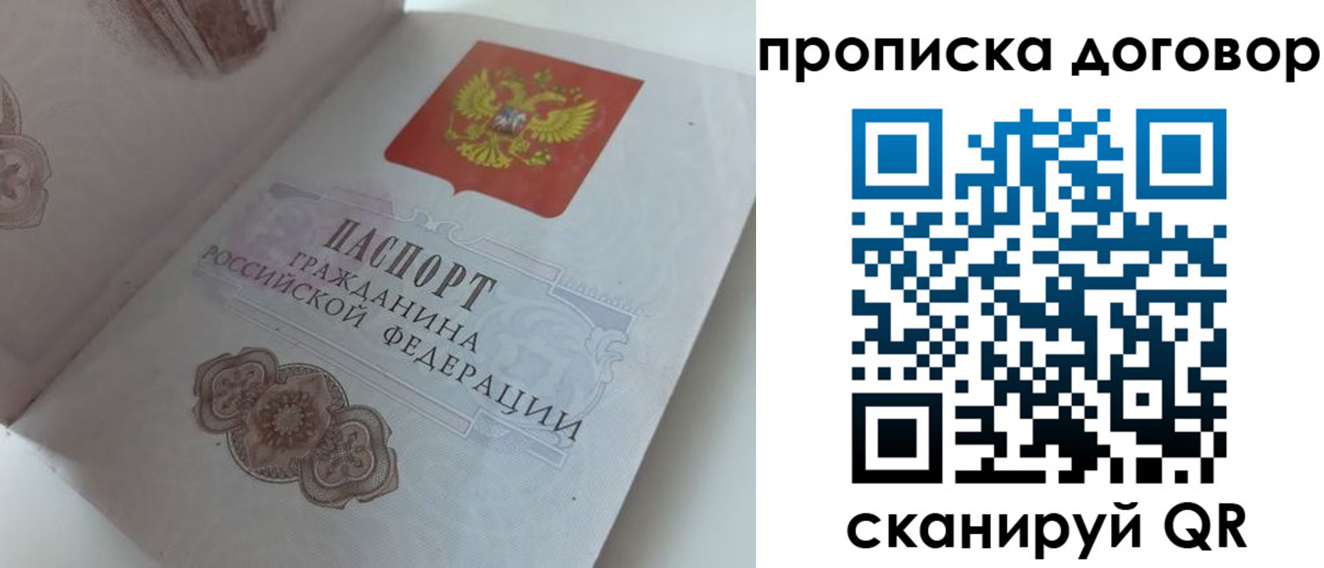 прописка поиск в Рошале